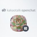 다육식물놀이터