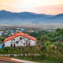 스테이 다연 이미지