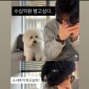 먹고 또 먹고 이미지