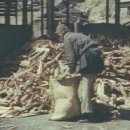 송진목장 이미지