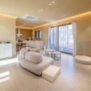 강아지풀 애견 이미지