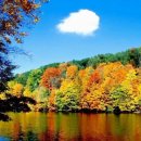 광내는사람들 이미지