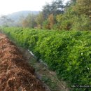 대형슈퍼 이미지