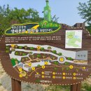 식장산 숲길 이미지