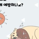 호계동물병원 이미지