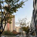 템포커피 미사청아초교점
