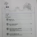라비돌