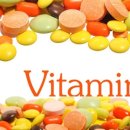 비타민모터스 이미지