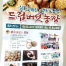 채열농장 | 이색 육아템 어른도 재미있는 표고버섯키우기 키트로 집에서 버섯 키워본 후기