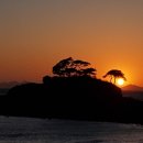 솔섬노을 이미지