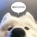 프레이즈음악학원 이미지