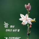 토요일 이미지