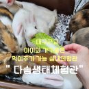 다솜생태체험관 이미지