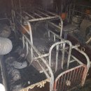 엘디팜영농조합법인 이미지