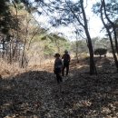 입암면사무소 이미지