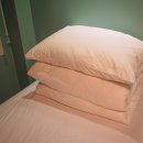 오조리bnb 이미지