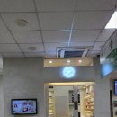 페디베네 이미지