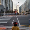 수상한 신호등 (비룡소) 클레이,횡단보도 독후활동