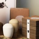 주식회사 보아스 이미지