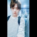 드므호텔 | [다낭 가족여행] 에필로그. 모두 제자리로...(다낭 패키지 여행 비용) [4일차]