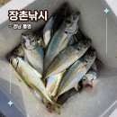 GS25신평충무점 | 통영배낚시 장촌낚시 낚린이 선외기 낚시체험 자세한 후기 필수템