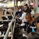 문화목장 이미지