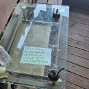 고양이 쉼터 이미지