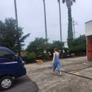고객행복주유소 | 제주 주유소에서 만난 뜻밖의 심쿵! [SK엔크린 희진주유소] 골든리트리버 마스코트