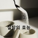 설탕이네 이미지