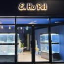 E.HO Pet 이미지