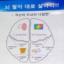 위드브레인연구소 이미지