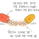 서방정 쪼개 먹으면 안돼요 이미지