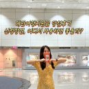 대만 여행지원금 당첨! 신청하는 방법과 사용하는 곳 추천 후기
