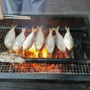 강길따라펜션