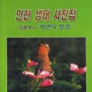 한국환경사진연구소-최용백 이미지