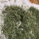 상북중학교 이미지