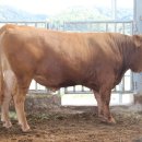 충청남도축산기술연구소 이미지