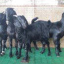 이천제이농장 이미지