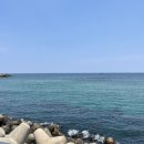 도평커피 이미지