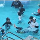 참사랑태권도 이미지