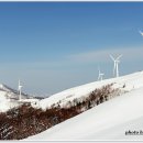 삼양목장 이미지