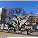 문화동002 이미지