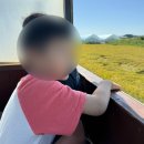하성로 | 서울근교 연보람목장 주말예약팁 젖소우유짜기 먹이주기 농장체험 캐빈 팜크닉 바베큐 준비물
