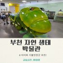 부천수석박물관 | 부천 자연생태박물관 아이랑 다녀온 후기 + 주차 꿀팁(무료주차 가능방법까지)