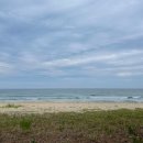 솔밭에덴하우스 | 양양 아이와 함께 체험 가능한 씨온공방 조개모빌 만들기 원데이클래스 후기