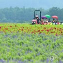 박지호농장 이미지