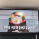 [인스타] 광안리 관광안내소 - 펭수 홍보 영상 최큼 공개 이미지