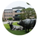 천안연암대학 이미지