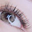 솔뷰티 이미지