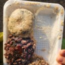 올레마트 이미지